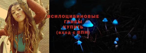 эйфоретик Алексин
