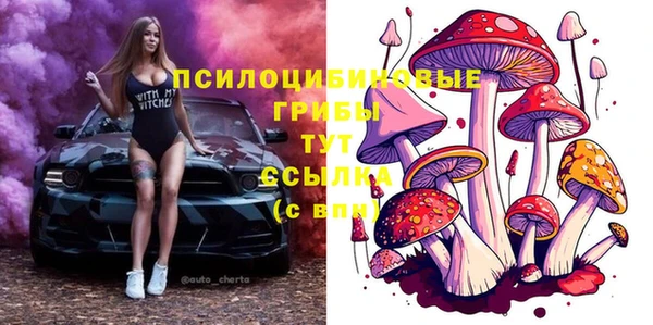 эйфоретик Алексин