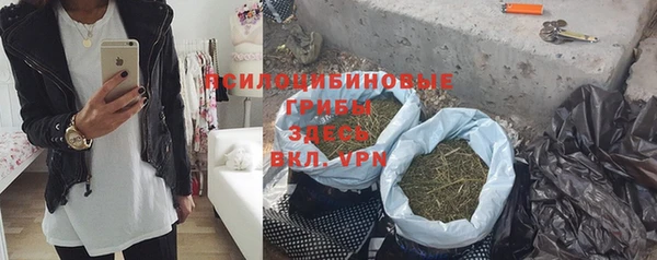 шишки Алексеевка