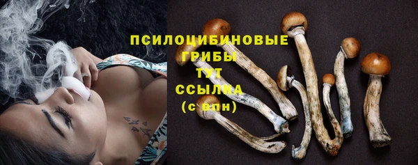 мяу мяу мука Алзамай