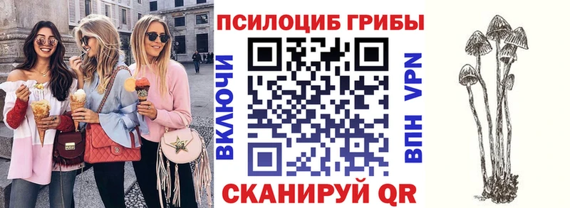 Псилоцибиновые грибы мицелий  сколько стоит  Юрьев-Польский 